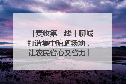 麦收第一线丨聊城打造集中晾晒场地，让农民省心又省力