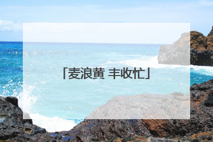 麦浪黄 丰收忙
