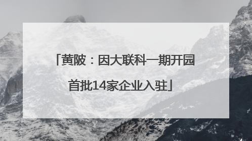 黄陂：因大联科一期开园 首批14家企业入驻