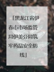 黑龙江省伊春市市场监管局伊美分局筑牢药品安全防线
