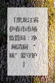 黑龙江省伊春市市场监管局：净网清厨 “味”爱守护