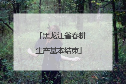 黑龙江省春耕生产基本结束