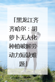 黑龙江齐齐哈尔：胡萝卜无人化种植破解劳动力短缺难题