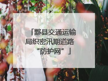 黟县交通运输局织密汛期道路“防护网”
