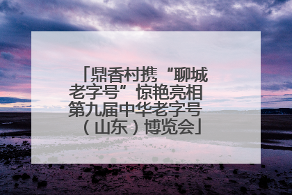 鼎香村携“聊城老字号”惊艳亮相第九届中华老字号（山东）博览会