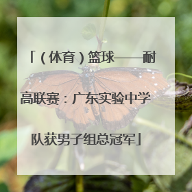 （体育）篮球——耐高联赛：广东实验中学队获男子组总冠军