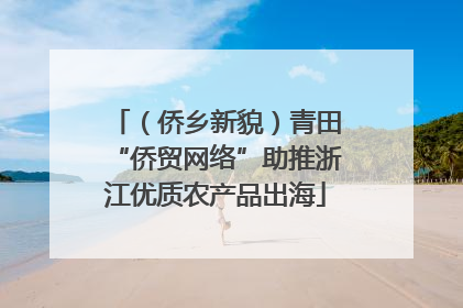 （侨乡新貌）青田“侨贸网络”助推浙江优质农产品出海