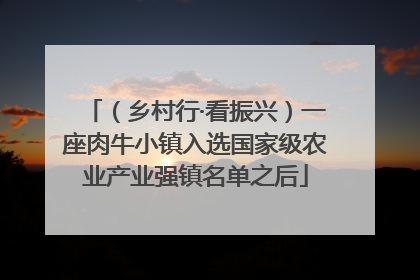 （乡村行·看振兴）一座肉牛小镇入选国家级农业产业强镇名单之后