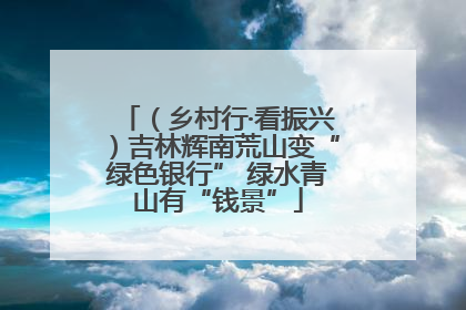 （乡村行·看振兴）吉林辉南荒山变“绿色银行” 绿水青山有“钱景”