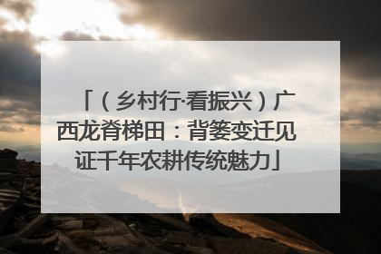 （乡村行·看振兴）广西龙脊梯田：背篓变迁见证千年农耕传统魅力