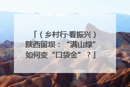（乡村行·看振兴）陕西留坝：“满山绿”如何变“口袋金”？