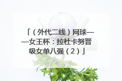 （外代二线）网球——女王杯：拉杜卡努晋级女单八强（2）