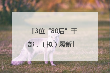 3位“80后”干部，（拟）履新