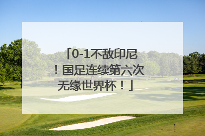 0-1不敌印尼！国足连续第六次无缘世界杯！