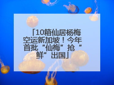 10箱仙居杨梅空运新加坡！今年首批“仙梅”抢“鲜”出国