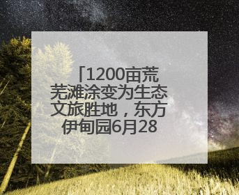 1200亩荒芜滩涂变为生态文旅胜地，东方伊甸园6月28日在青岛开园