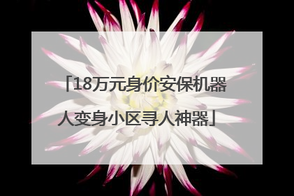 18万元身价安保机器人变身小区寻人神器