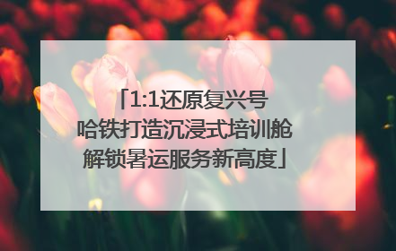 1:1还原复兴号 哈铁打造沉浸式培训舱解锁暑运服务新高度