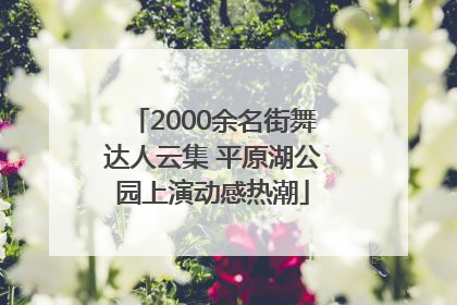 2000余名街舞达人云集 平原湖公园上演动感热潮