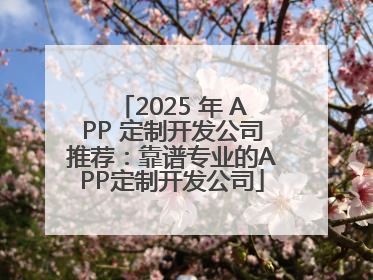 2025 年 APP 定制开发公司推荐：靠谱专业的APP定制开发公司