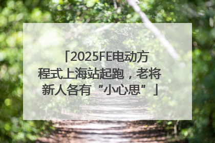 2025FE电动方程式上海站起跑，老将新人各有“小心思”