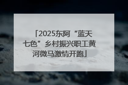 2025东阿“蓝天七色”乡村振兴职工黄河微马激情开跑