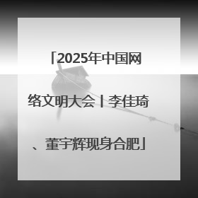 2025年中国网络文明大会丨李佳琦、董宇辉现身合肥