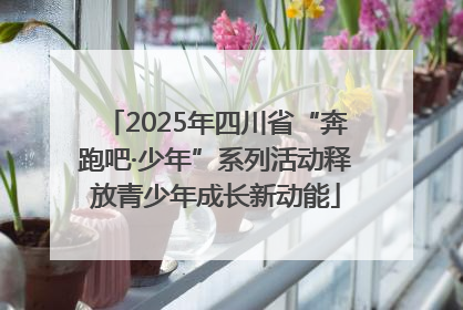 2025年四川省“奔跑吧·少年”系列活动释放青少年成长新动能