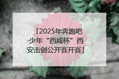 2025年奔跑吧·少年“西咸杯”西安击剑公开赛开赛