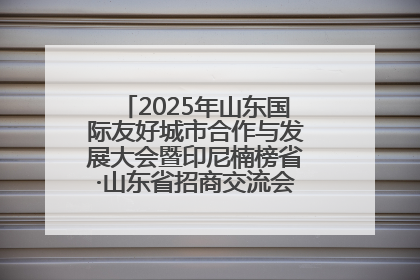 2025年山东国际友好城市合作与发展大会暨印尼楠榜省·山东省招商交流会在济南槐荫举行