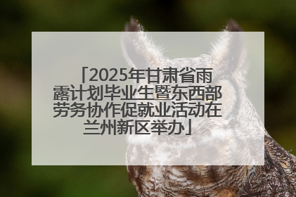 2025年甘肃省雨露计划毕业生暨东西部劳务协作促就业活动在兰州新区举办