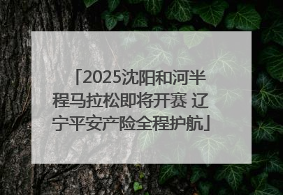2025沈阳和河半程马拉松即将开赛 辽宁平安产险全程护航