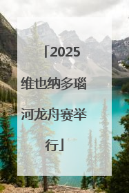 2025维也纳多瑙河龙舟赛举行