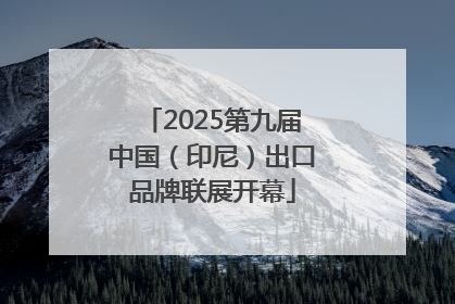 2025第九届中国（印尼）出口品牌联展开幕