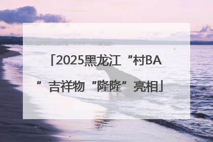 2025黑龙江“村BA”吉祥物“隆隆”亮相