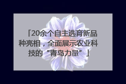 20余个自主选育新品种亮相，全面展示农业科技的“青岛力量”
