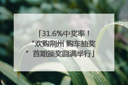 31.6%中奖率！“欢购荆州 购车抽奖”首期颁奖圆满举行