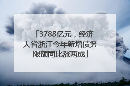 3788亿元,经济大省浙江今年新增债务限额同比涨两成
