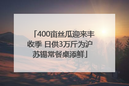 400亩丝瓜迎来丰收季 日供3万斤为沪苏锡常餐桌添鲜