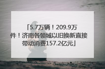 5.7万辆！209.9万件！济南各领域以旧换新直接带动消费157.2亿元