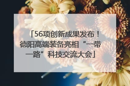56项创新成果发布！德阳高端装备亮相“一带一路”科技交流大会
