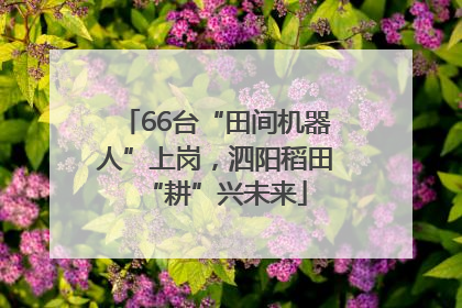 66台“田间机器人”上岗，泗阳稻田“耕”兴未来