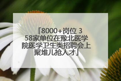 8000+岗位 358家单位在豫北医学院医学卫生类招聘会上聚堆儿抢人才