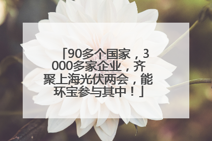 90多个国家，3000多家企业，齐聚上海光伏两会，能环宝参与其中！