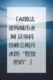 AI算法重构城市水网 这场科技峰会揭开水的“智慧密码”