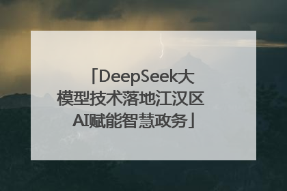 DeepSeek大模型技术落地江汉区 AI赋能智慧政务