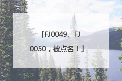 FJ0049、FJ0050，被点名！