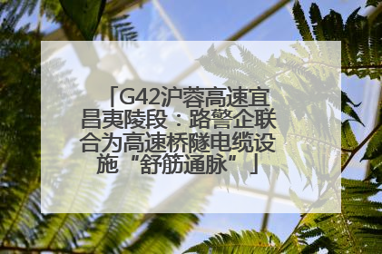 G42沪蓉高速宜昌夷陵段：路警企联合为高速桥隧电缆设施“舒筋通脉”