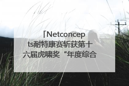 Netconcepts耐特康赛斩获第十六届虎啸奖“年度综合服务商”大奖