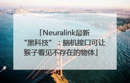 Neuralink最新“黑科技”：脑机接口可让猴子看见不存在的物体